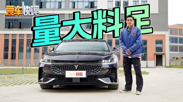 岚图追光PHEV，同级罕见悬架大满配后排