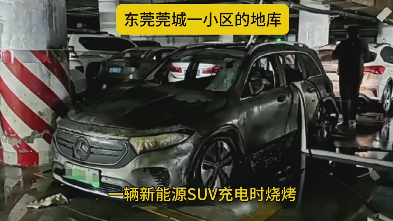 某豪华新能源车充电烧烤