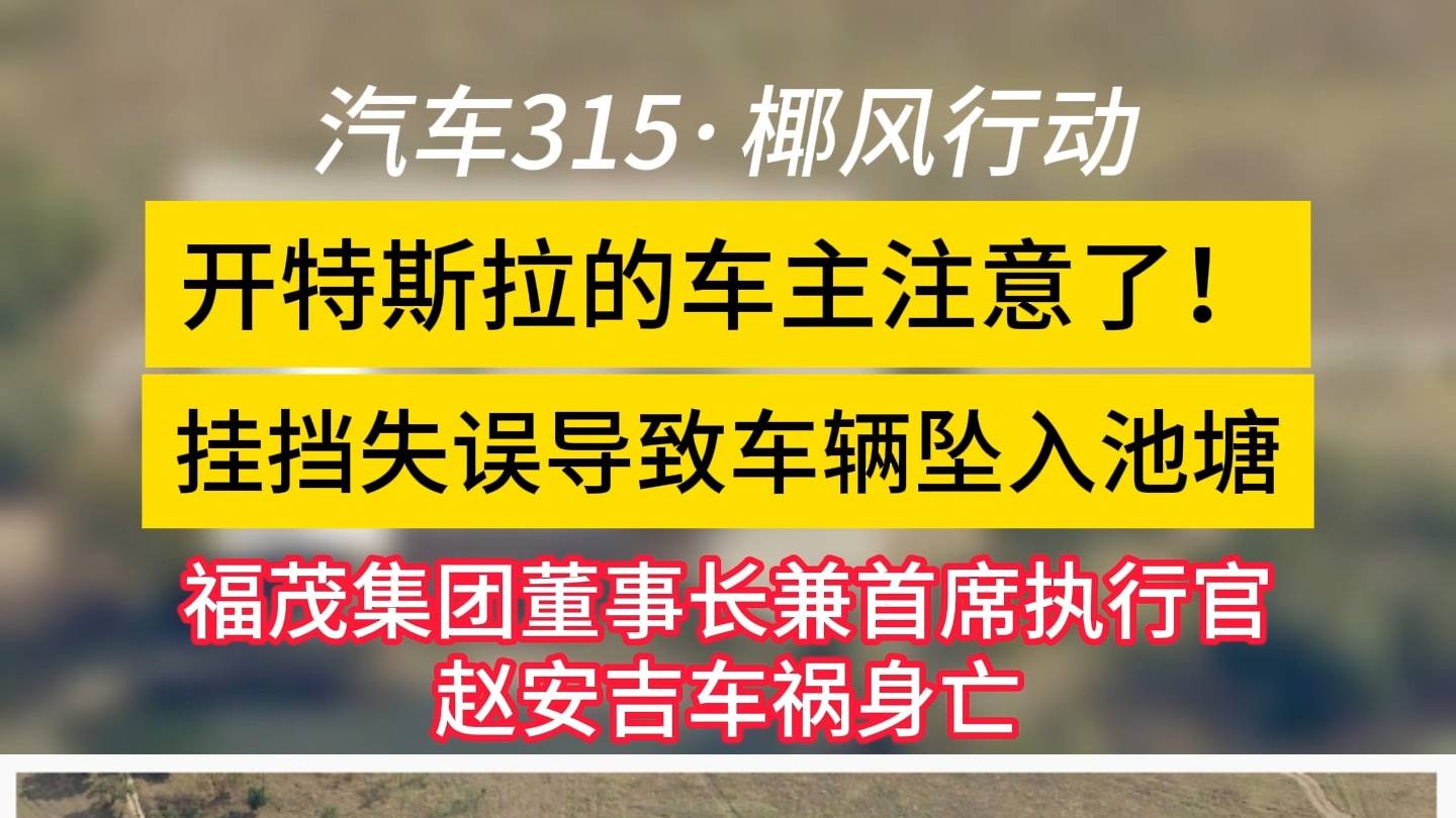 开特斯拉的车主注意了