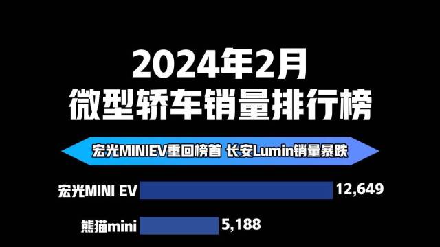 2024年2月微型轿车销量排行榜