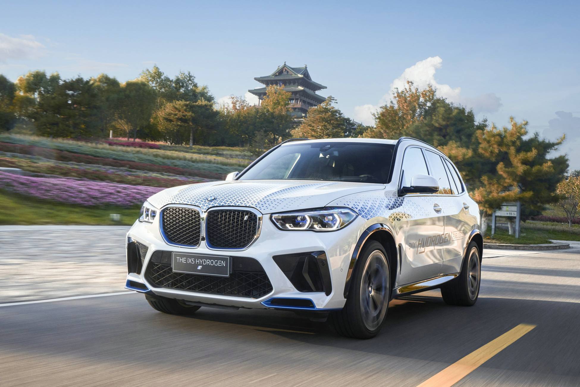 BMW和MINI兩大品牌、四種動力、十五個車系