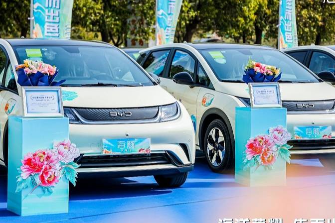 比亞迪海豚助力洛陽牡丹文化節(jié)，活動(dòng)期間“冠軍車型”免費(fèi)坐