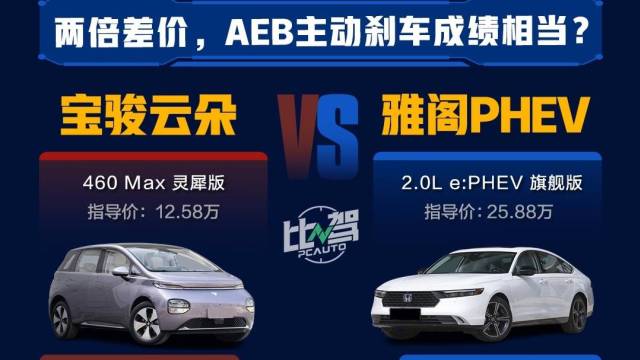 两倍差价，AEB主动刹车测试结果一致？