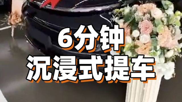 6分钟沉浸式提车 理想L9