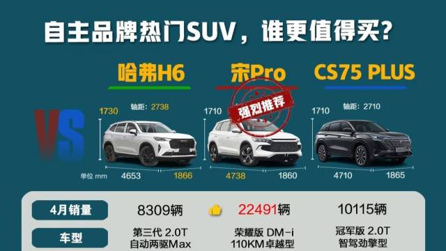 自主品牌热门SUV，谁更值得买？