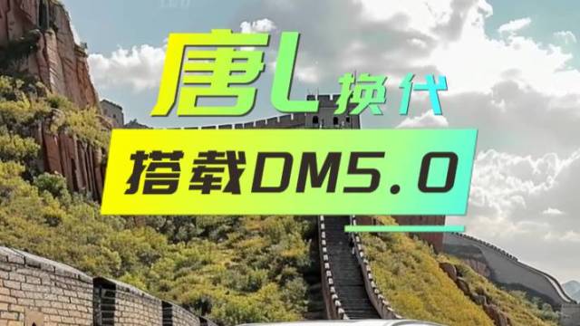 搭载DM5.0 告别筷子 唐L豪华不高冷