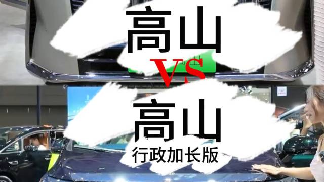 魏牌高山vs高山行政加长版