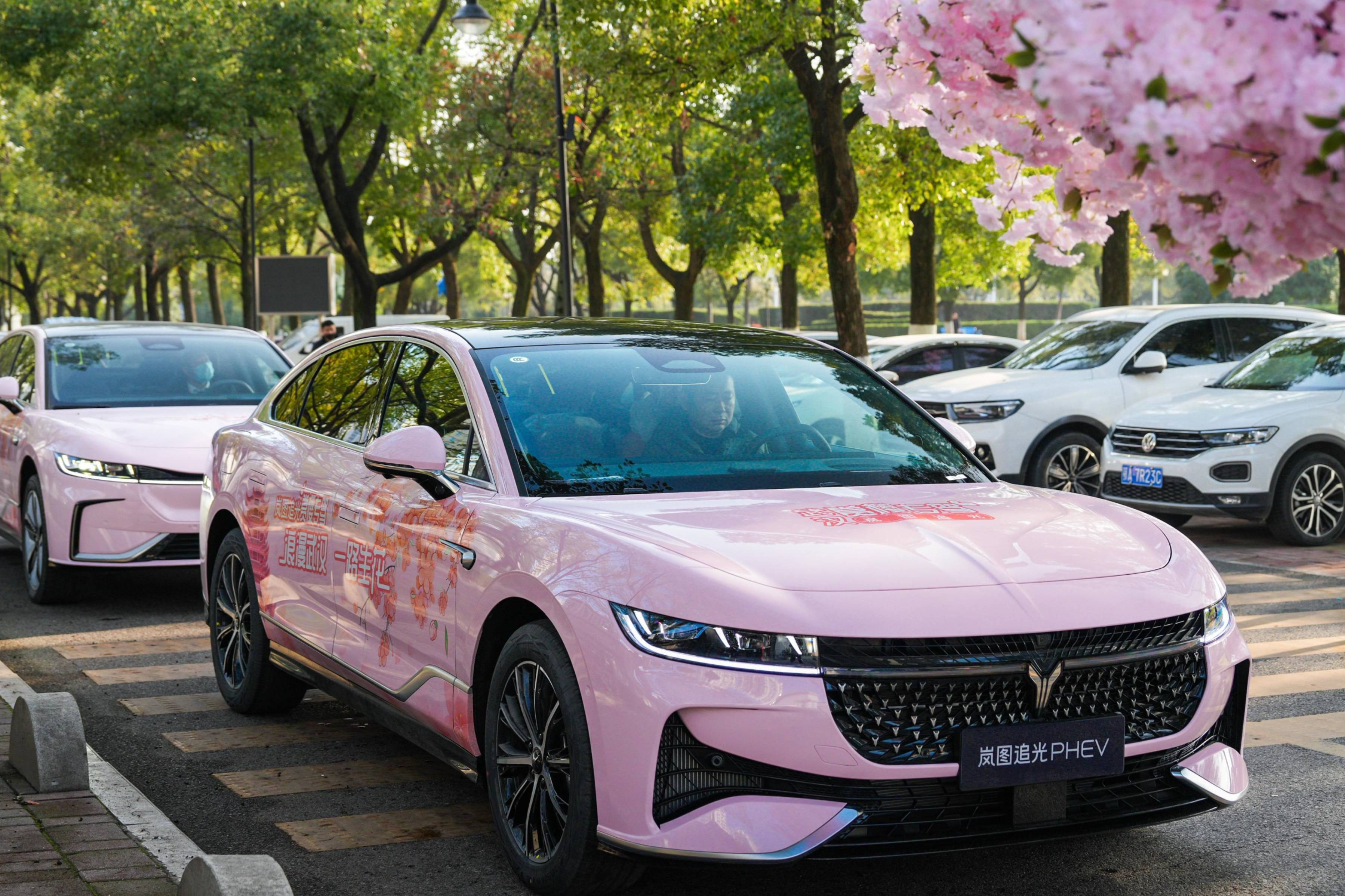 武汉樱花盛开，岚图汽车打造独特赏樱体验
