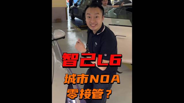 辉哥竟然化身金牌销售推介同事买车？