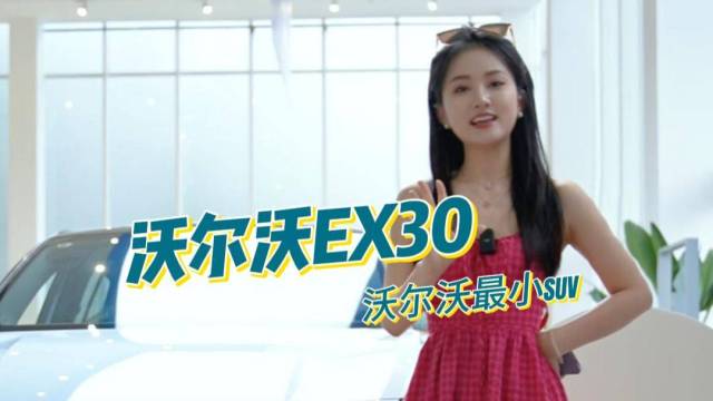 20.08万元起 沃尔沃EX30引领风潮