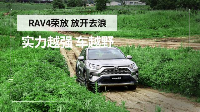 新RAV4荣放  革新一代全能 SUV