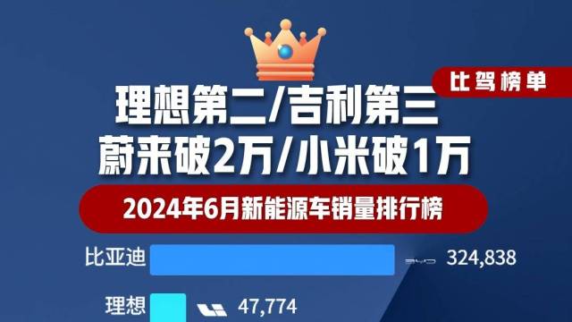 2024年6月新能源汽车销量排行榜