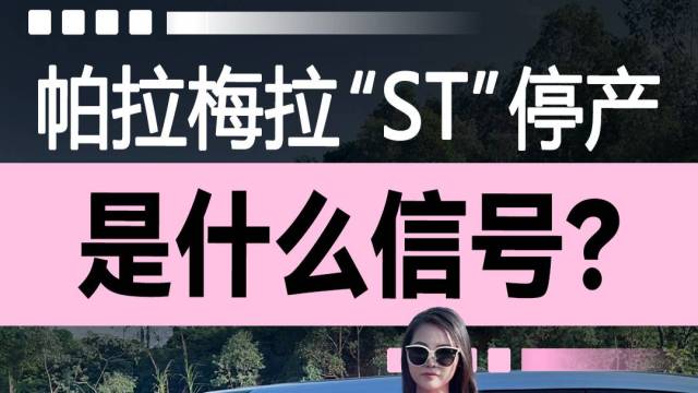 帕拉梅拉“ST”停产，是什么信号？