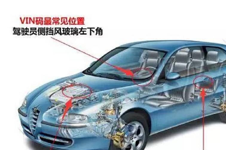 「姿勢」車架號里還有這秘密？！嗯……