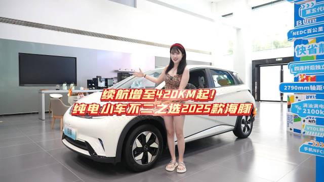 纯电小车不二之选比亚迪2025款海豚