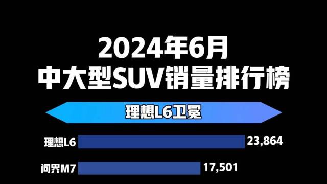 2024年6月中大型SUV销量排行榜