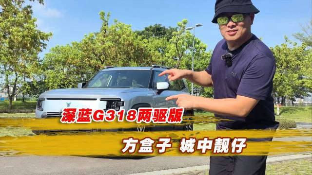 方盒子 城中靓仔，深蓝G318两驱版