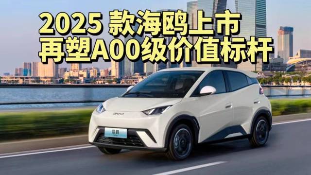 2025 款海鸥再塑A00级价值标杆