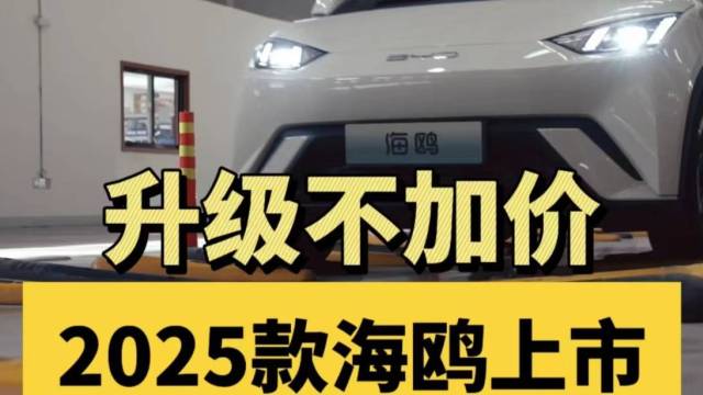 2025款海鸥上市 6.98-8.58万