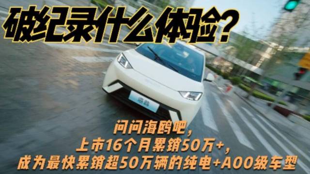 海鸥上市16个月累销50万+