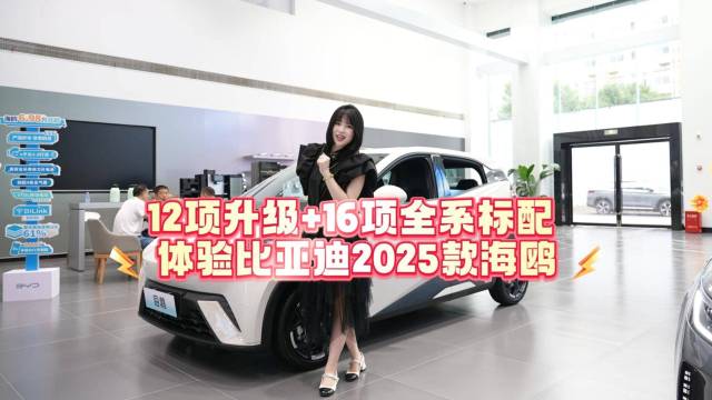 16项全系标配！体验比亚迪2025款海鸥