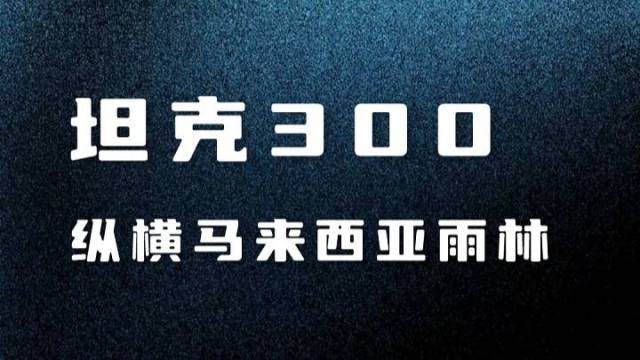 坦克300进军马来西亚