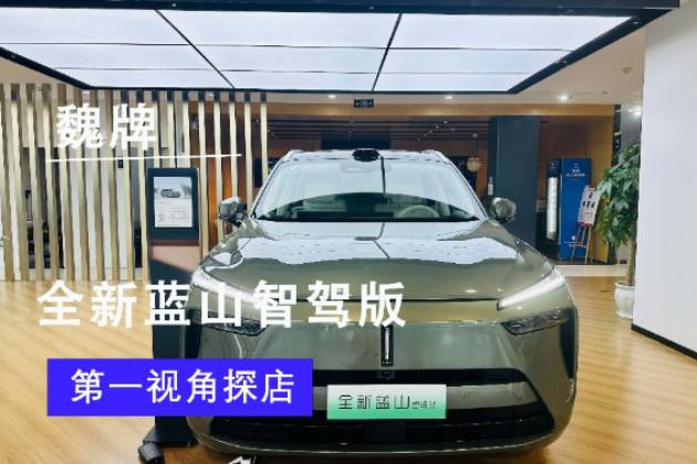 【主播樂陽】魏牌全新藍山智駕版第一視角探店