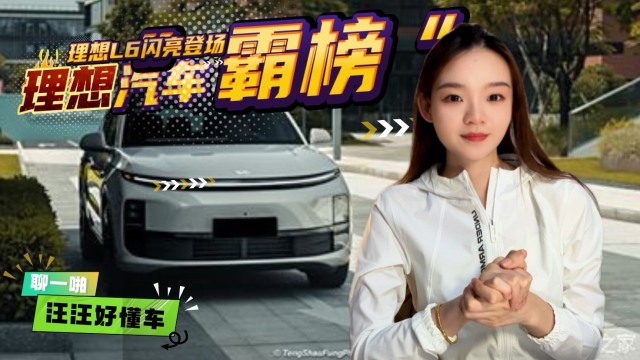 汪汪好懂车｜理想汽车连续霸榜16周