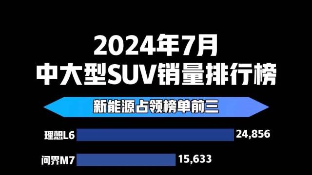 2024年7月中大型SUV销量排行榜