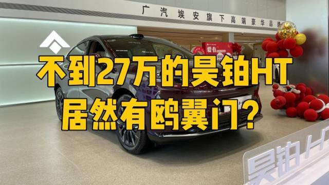 不到27万的昊铂HT居然有鸥翼门？