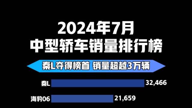 2024年7月中型轿车销量排行榜 