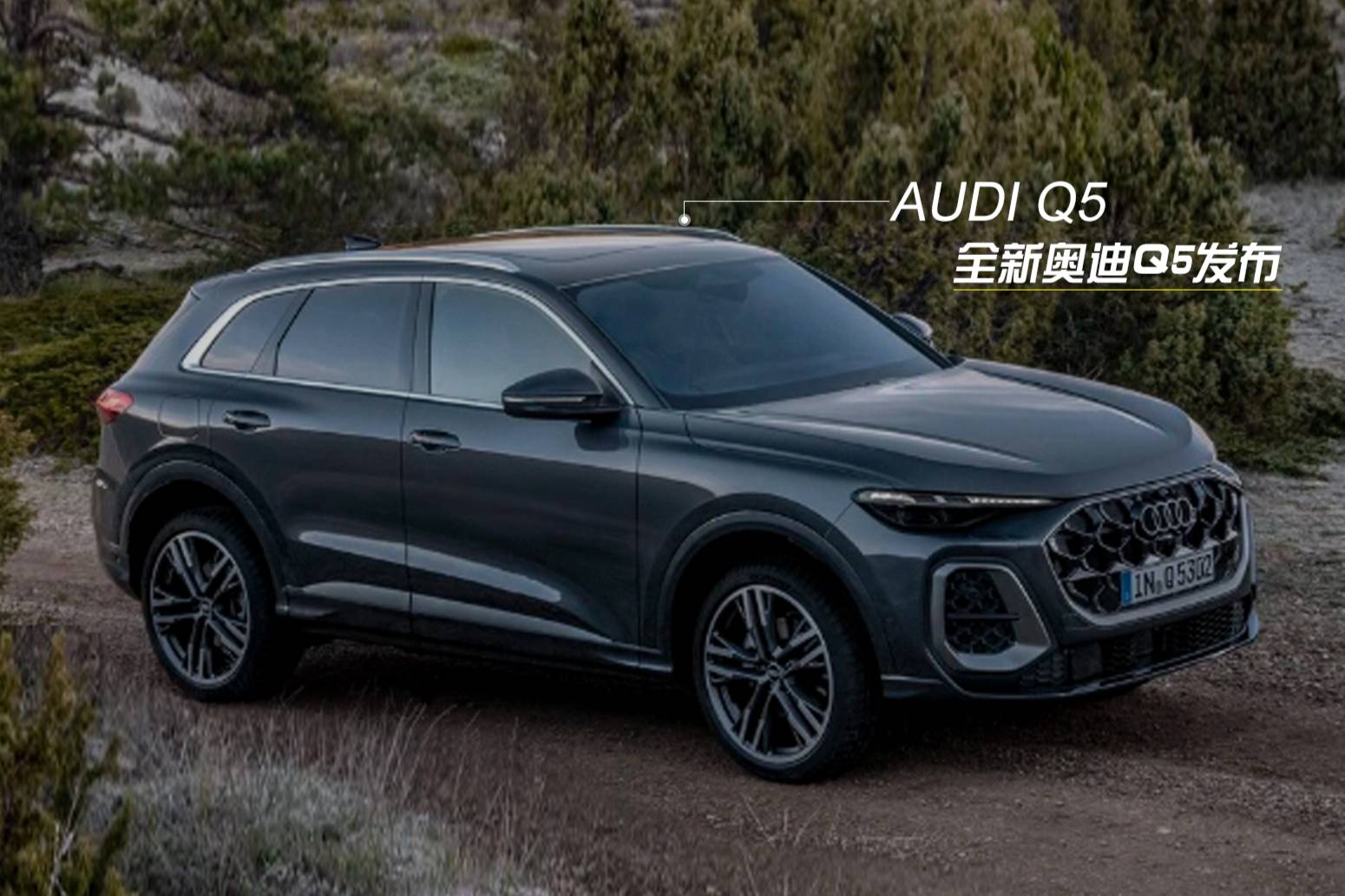 全新奥迪Q5发布