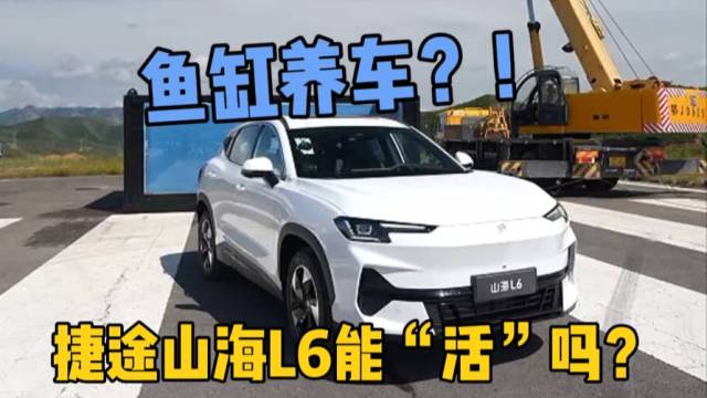 混动车“主动”泡水，这还能安然无恙吗？