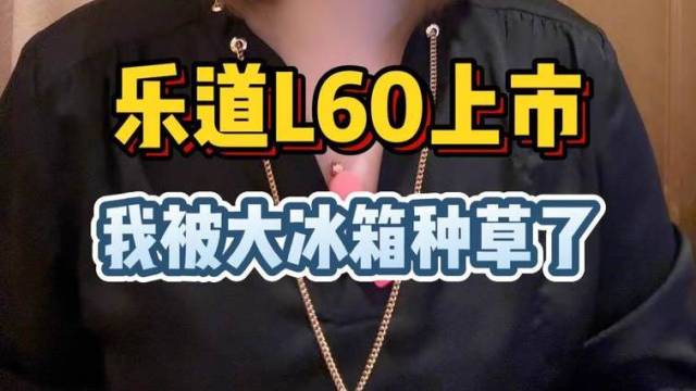 乐道L60上市，我被冰箱种草了