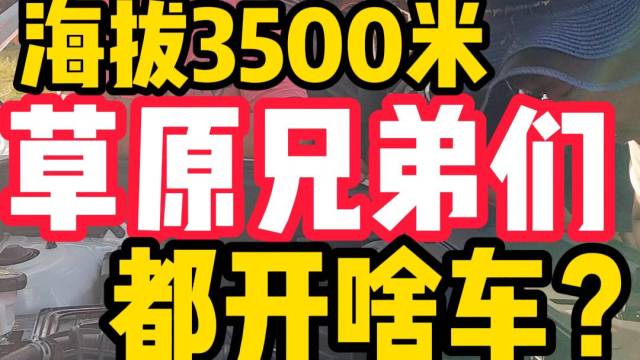 海拔3500米 草原兄弟们 都开啥车？