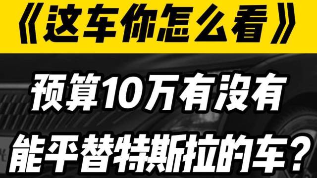 预算10万有没有能平替特斯拉的车可以买？