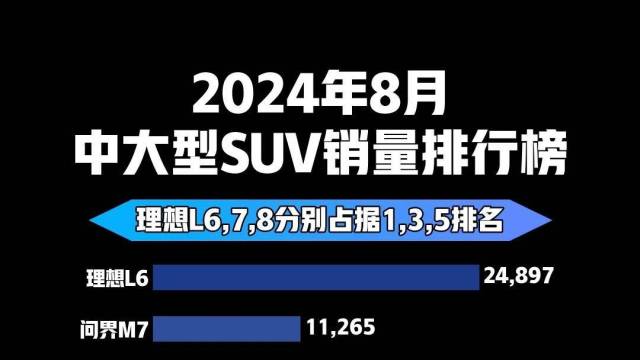 2024年8月中大型SUV销量排行榜