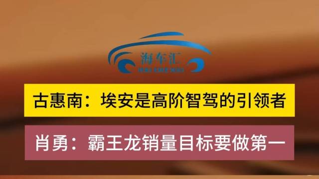 肖勇：霸王龙销量目标要做第一