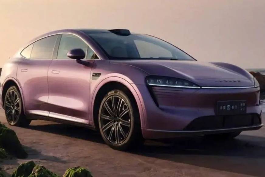 「圍攻」Model Y，自主品牌吹響集結號？