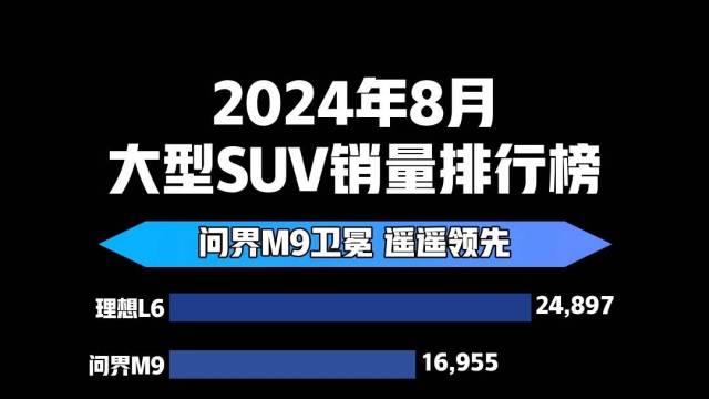 2024年8月大型SUV销量排行榜