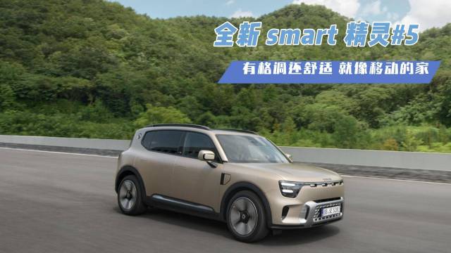 “萌凶萌凶“的全新smart精灵#5