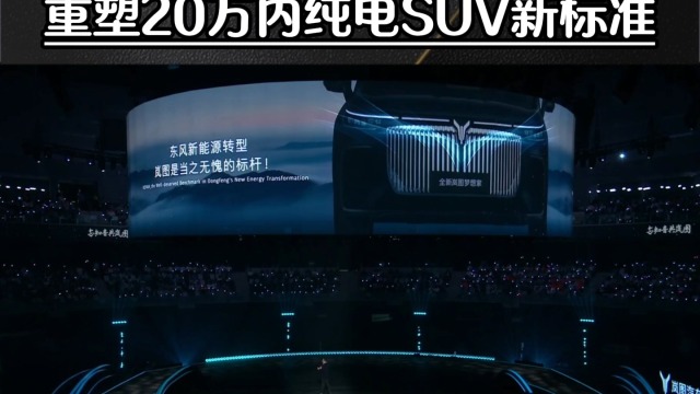 新奢纯电SUV 岚图知音17.99万起