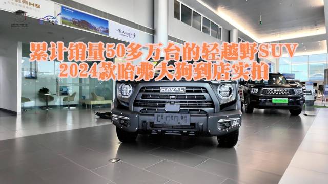 轻越野SUV 2024款哈弗大狗到店实拍