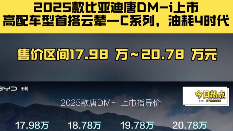 比亚迪2025款唐DM-i上市