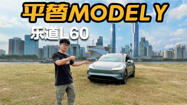 乐道L60平替特斯拉ModelY ？