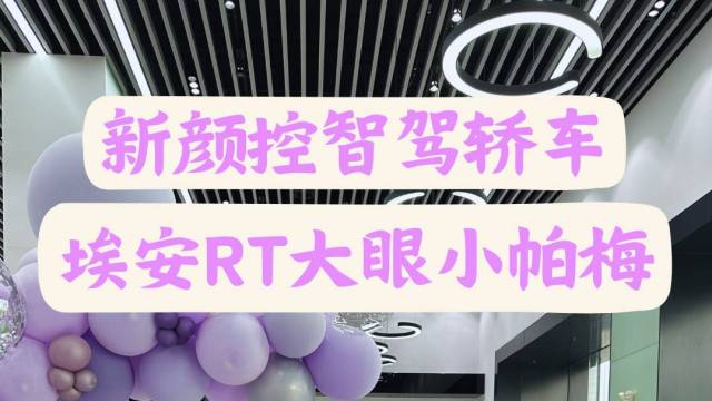 埃安RT大眼小帕梅王者登场！