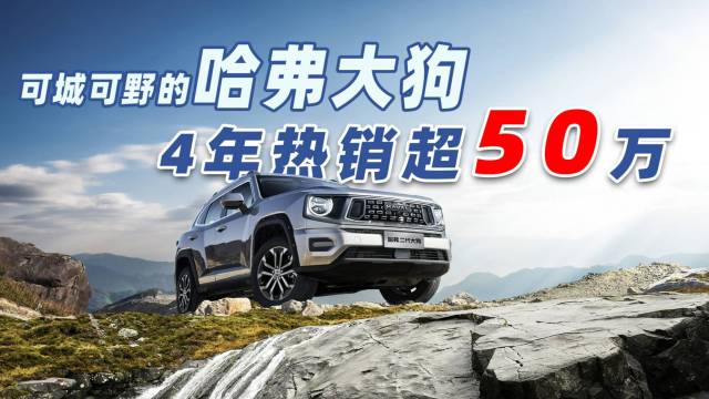 可城可野的哈弗大狗 4年热销超50万