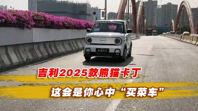 是你心中“买菜车”吉利2025款熊猫卡丁