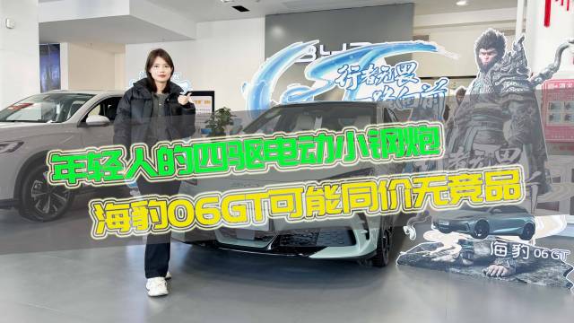 四驱电动小钢炮 海豹06GT同价无竞品