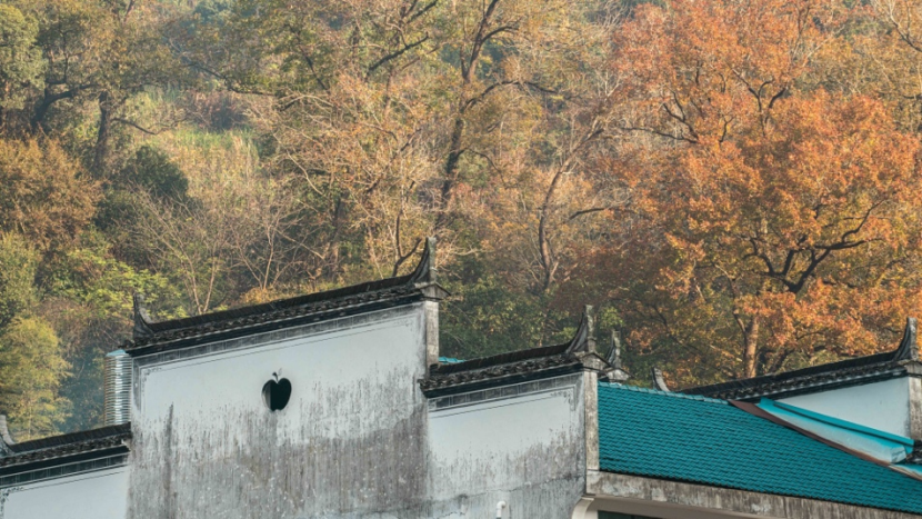 独享越野乐趣，“纵横野”带你体验婺源好风光